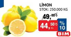 LİMON KG